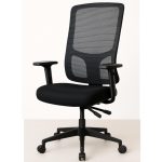 Cadeira de Escritório Tela PRYUS Back System – Cor Preto – 20099 VILLA Móveis para Escritório Cadeira de Tela 12
